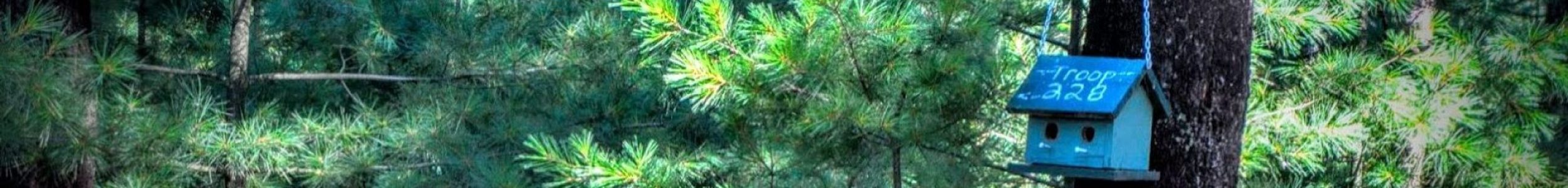 banner4
